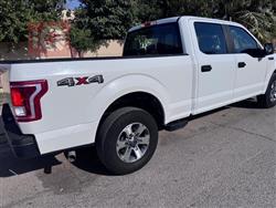 فۆرد F-150